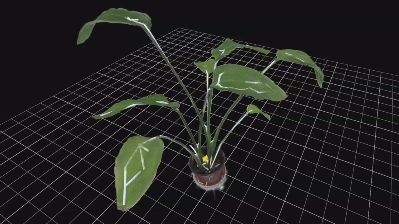 SplantSim placeholder